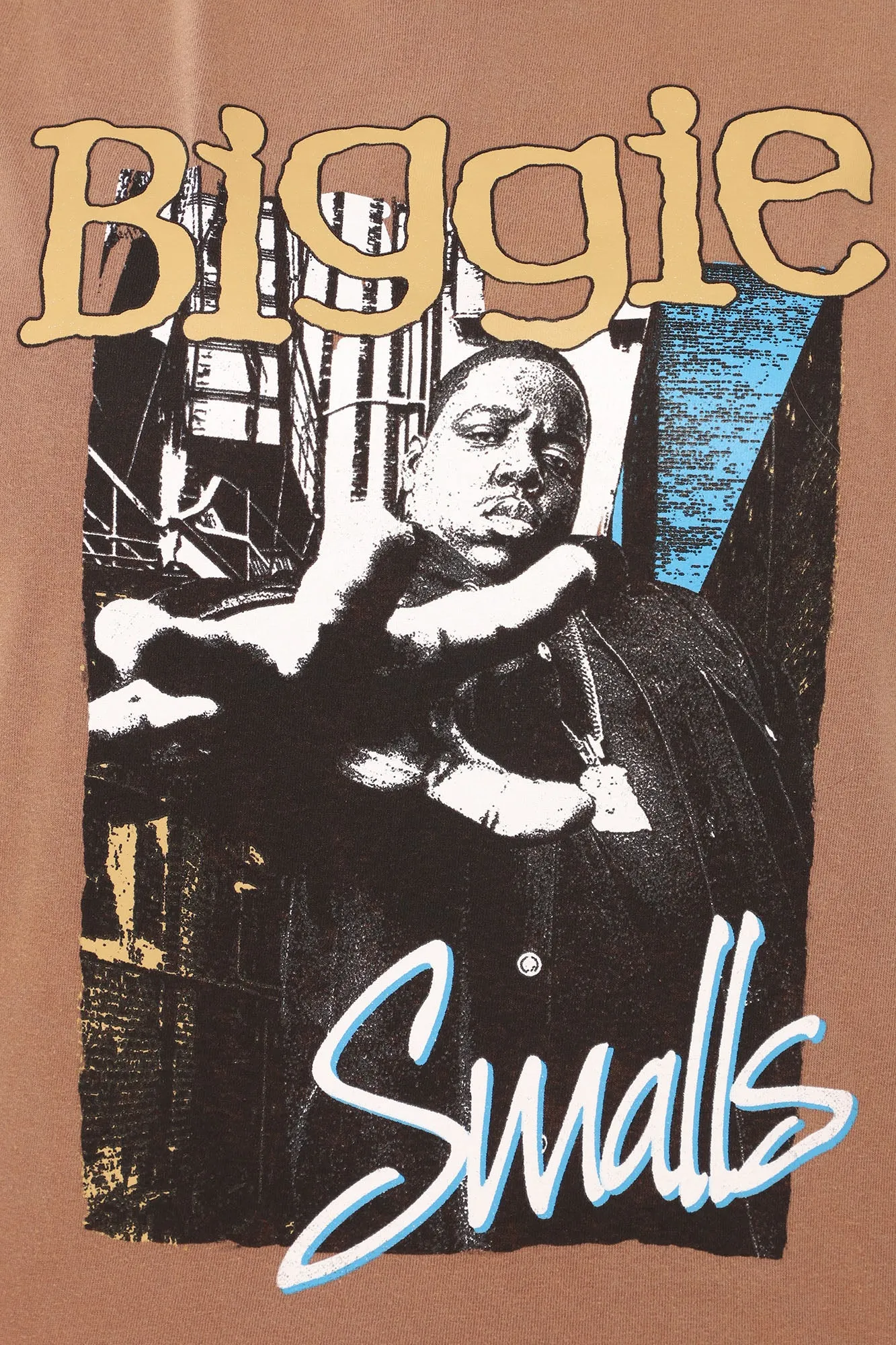 Biggie Smalls Washed Tee - Brown