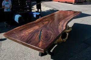 Claro Walnut Dining Table with Burl Base