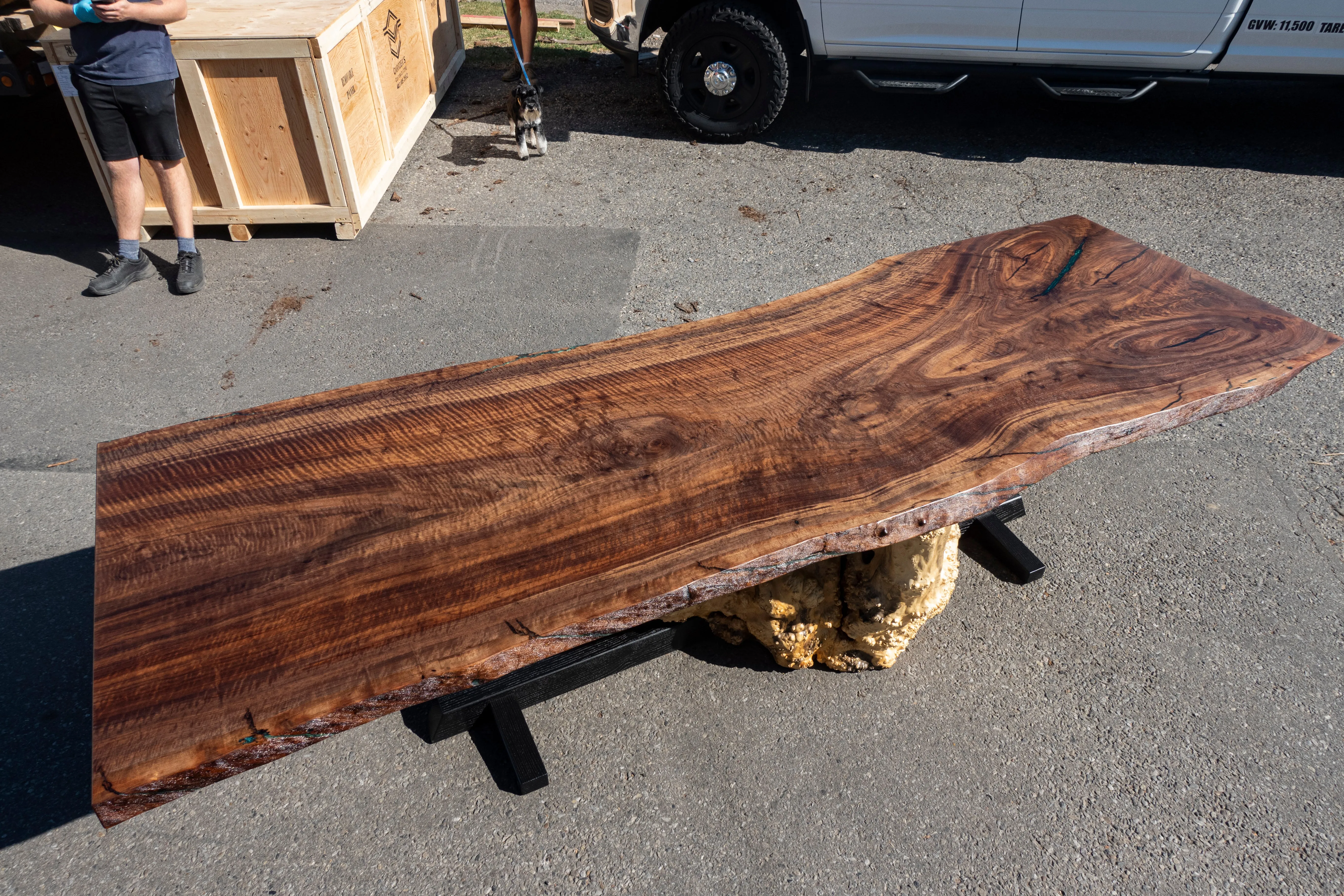 Claro Walnut Dining Table with Burl Base