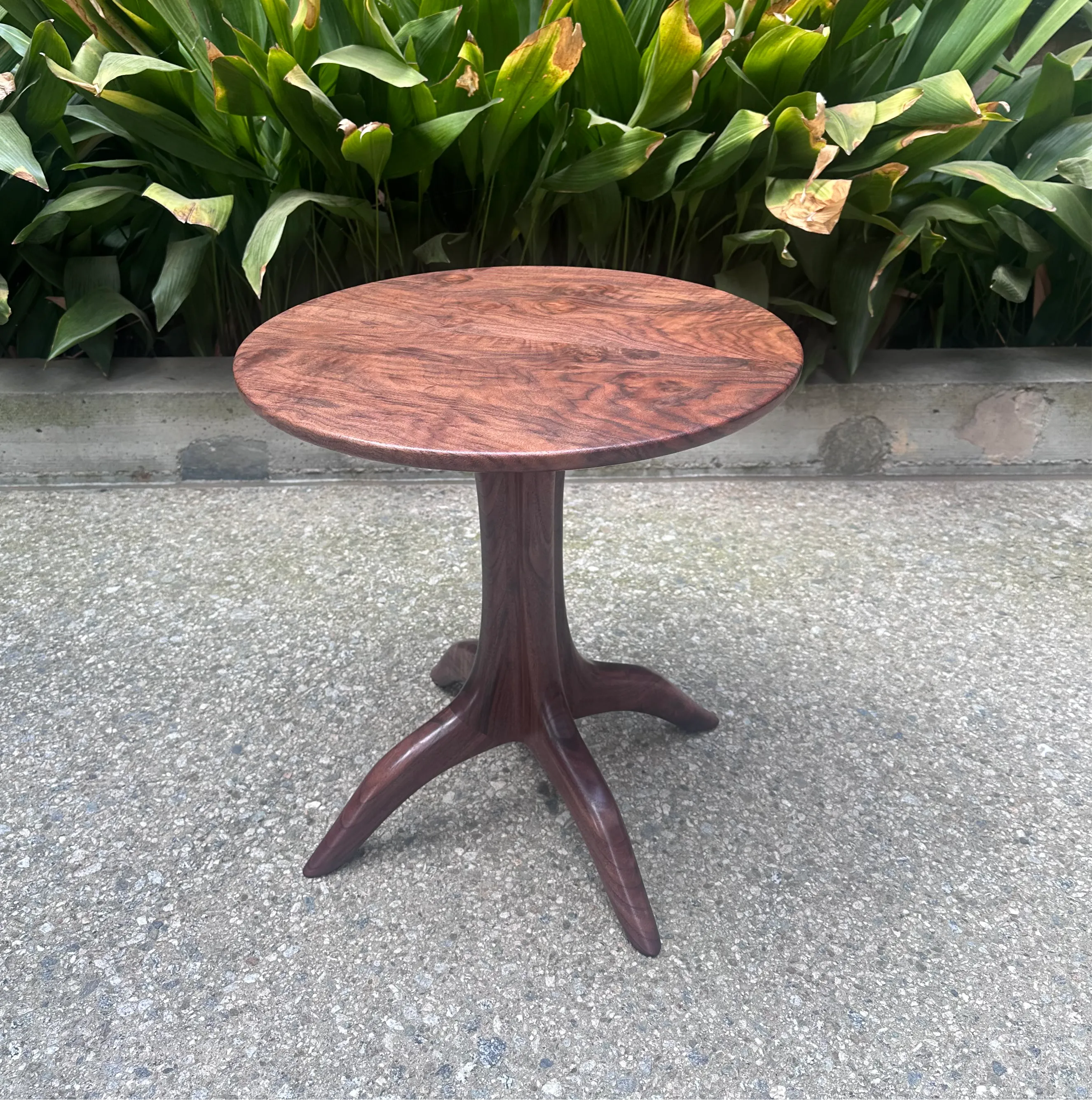 Claro Walnut Pedestal Table