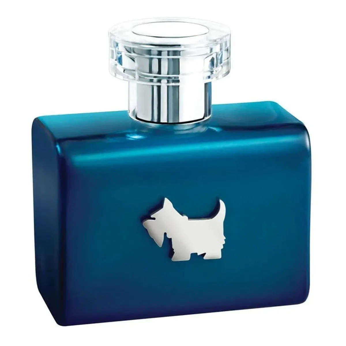 Perfume Ferrioni Blue Terrier para Hombre de Ferrioni EDT 100ML