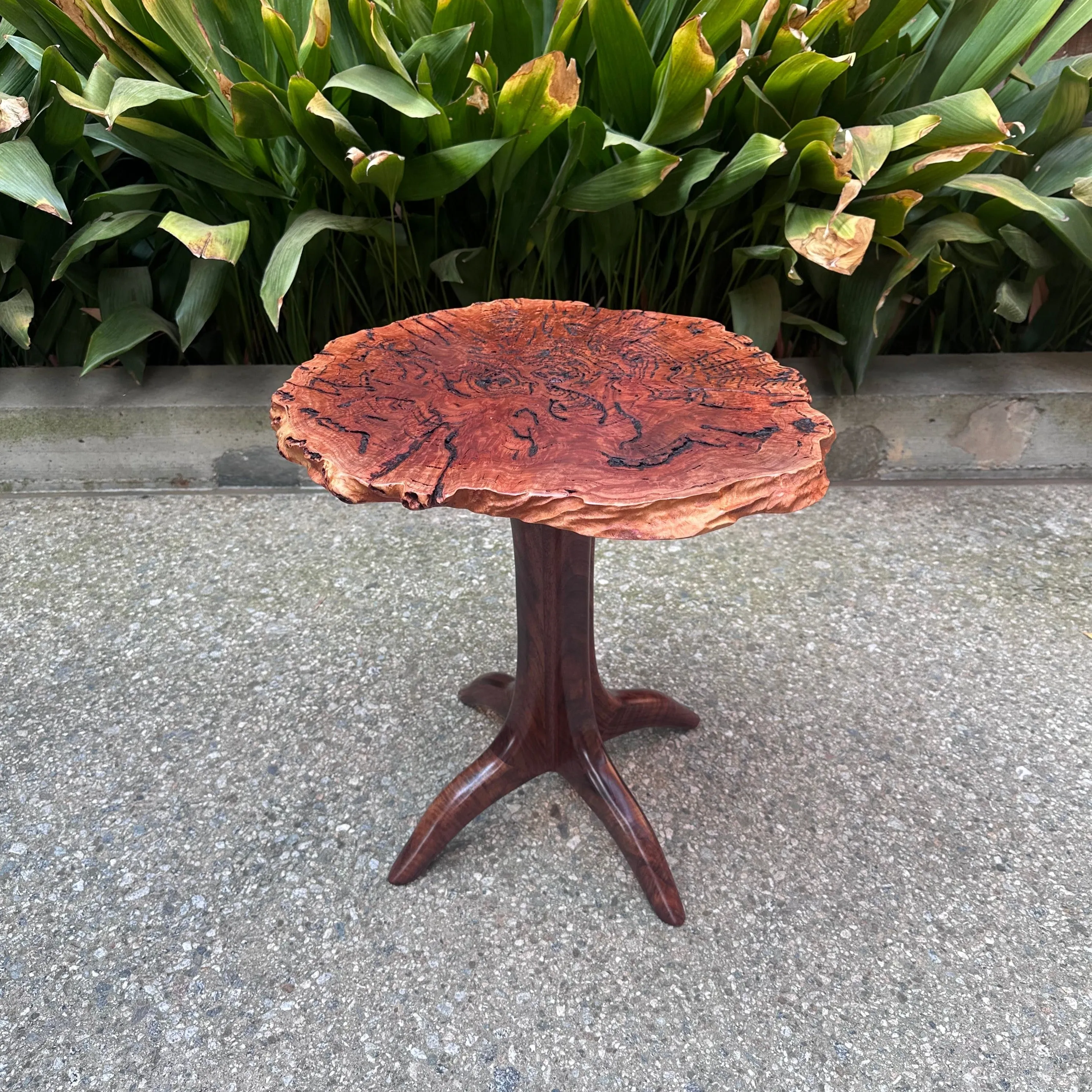 Salmon Gum Burl / Claro Walnut Pedestal Table